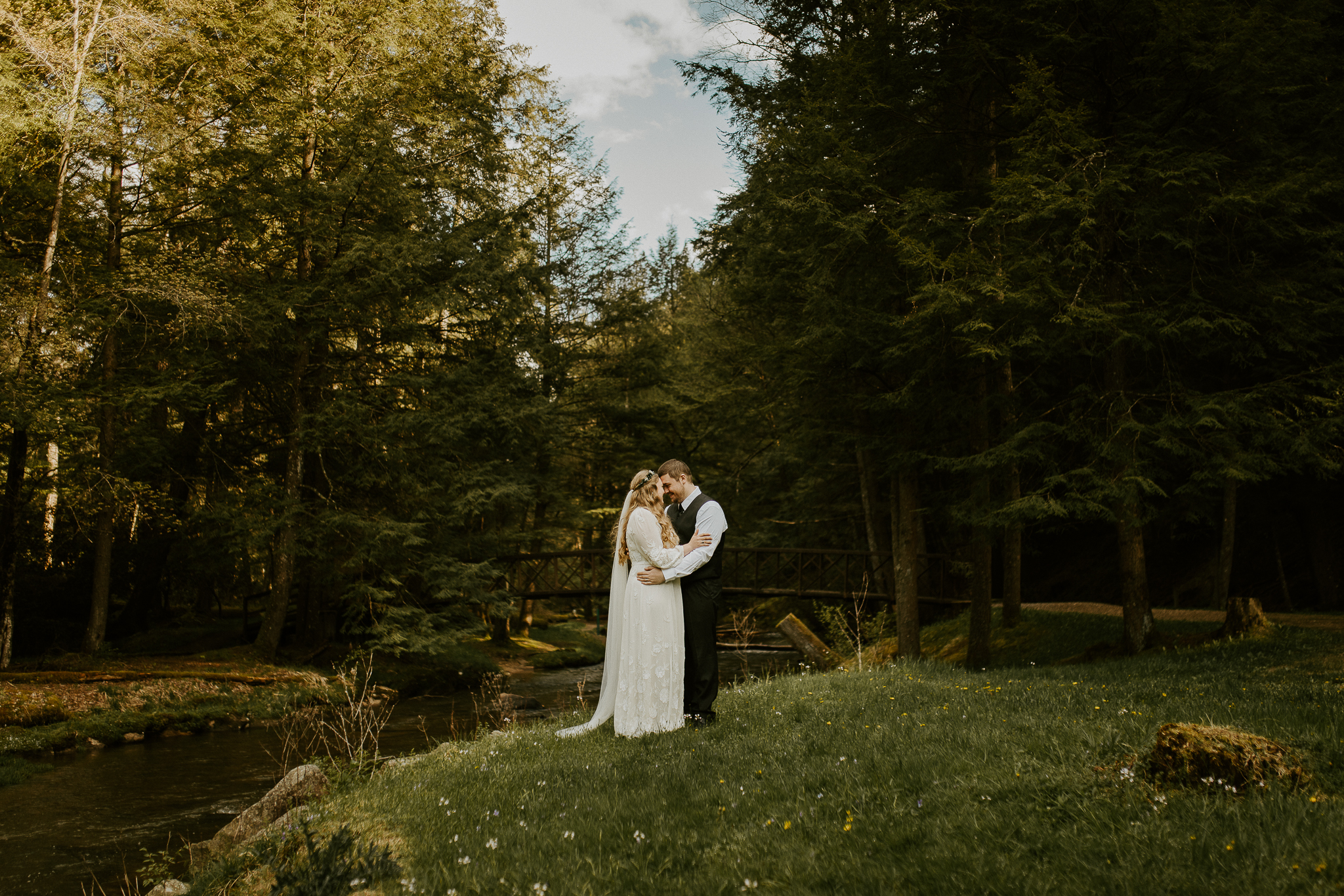 Cook forest wedding photographs